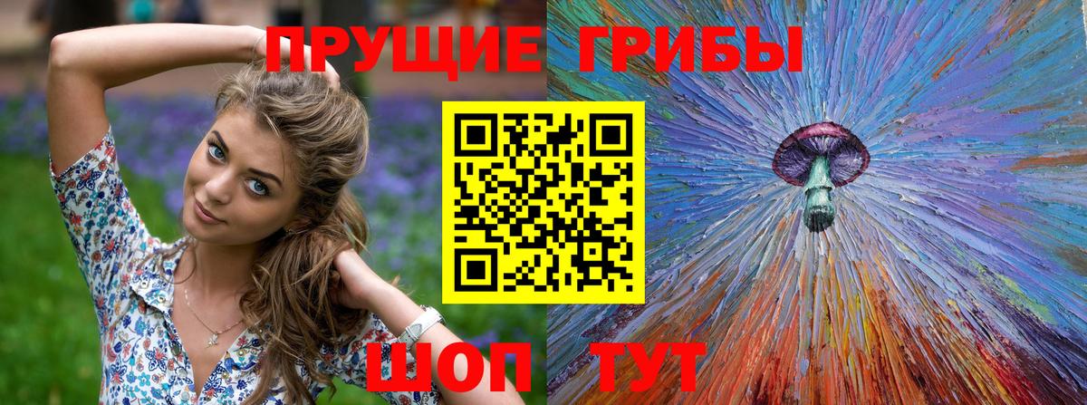 Псилоцибиновые грибы GOLDEN TEACHER Клин